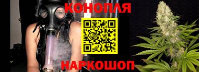 шишки Балашиха