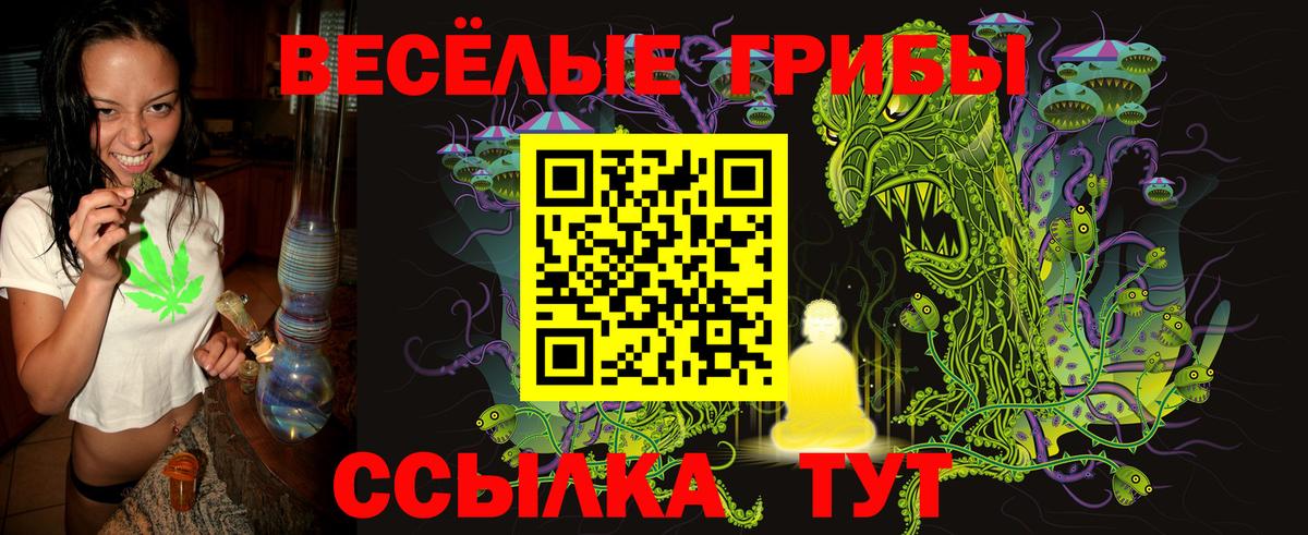 Галлюциногенные грибы мицелий Дербент