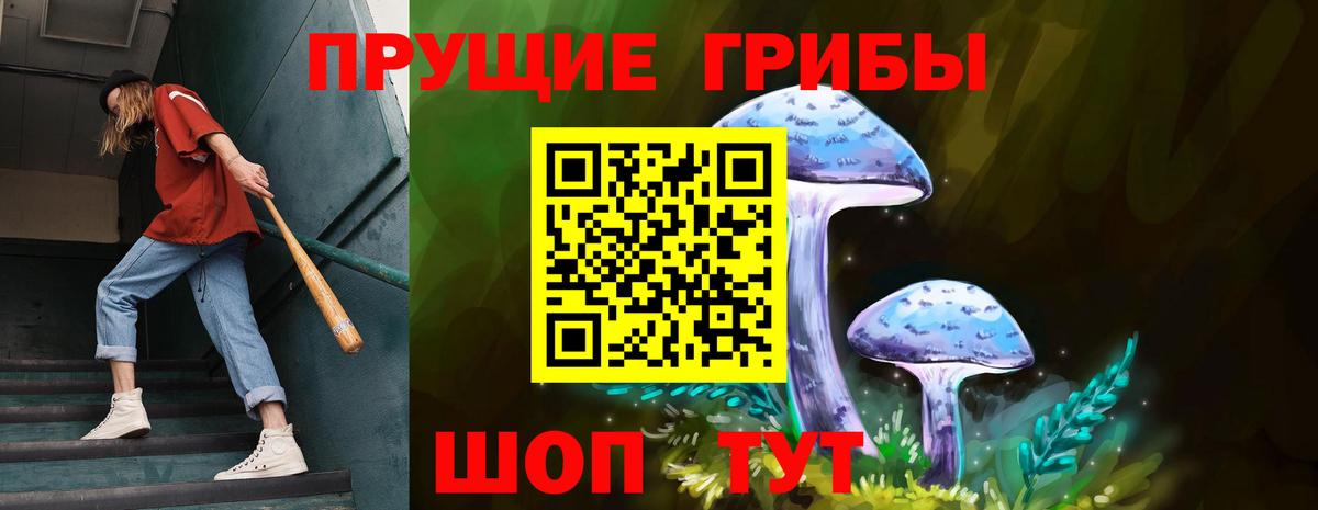Дербент  Псилоцибиновые грибы Magic Shrooms  Вход с VPN  Псилоцибиновые грибы прущие грибы 